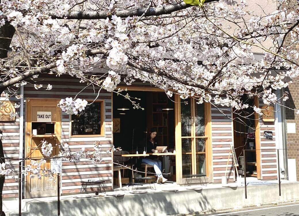 画像 3 (1周目)